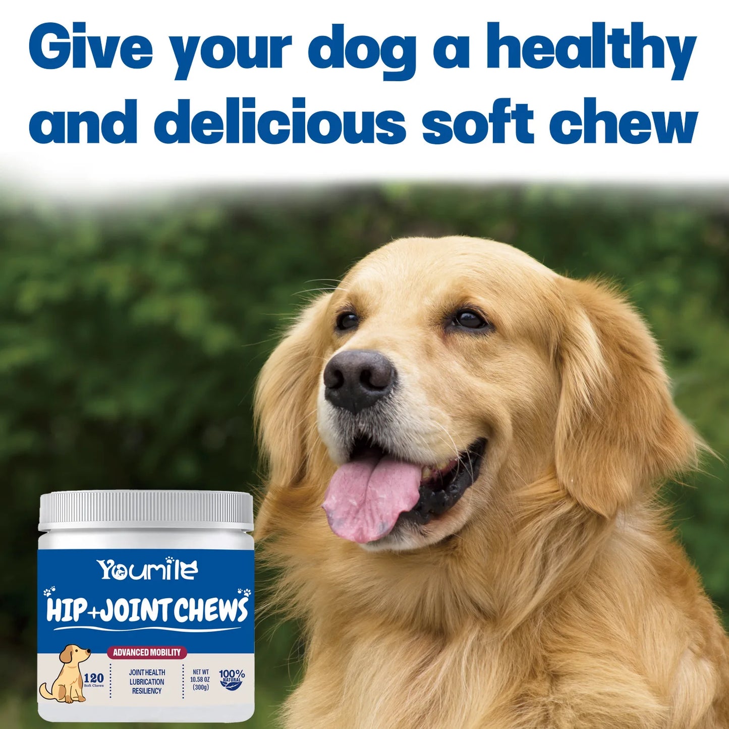Hyaluronic Acid - Glucosamine Chondroitin Arthritis Pain Relief