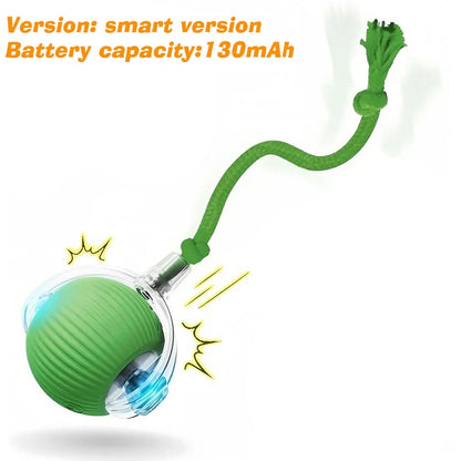 Interactive Ball,Automatic Rolling Dog Ball Rechargeable,Smart