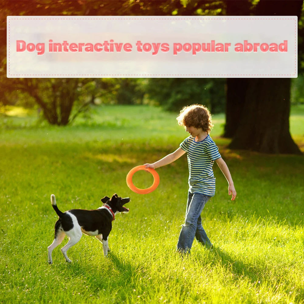 Interactive Training Ring Puller for Dogs