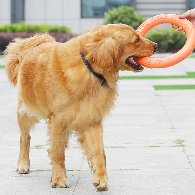 Interactive Training Ring Puller for Dogs